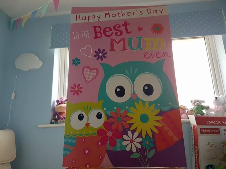 Huge-Mothers-Day-Card-Owls