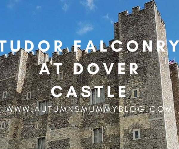 Tudor falconry at Dover Castle