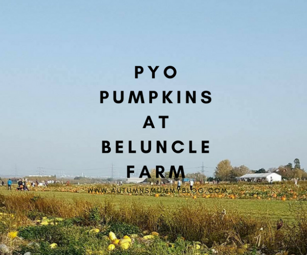 PYO Pumpkins at Beluncle Farm