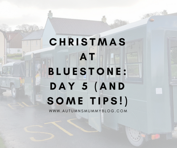Christmas at Bluestone: Day 5 (and some tips!)