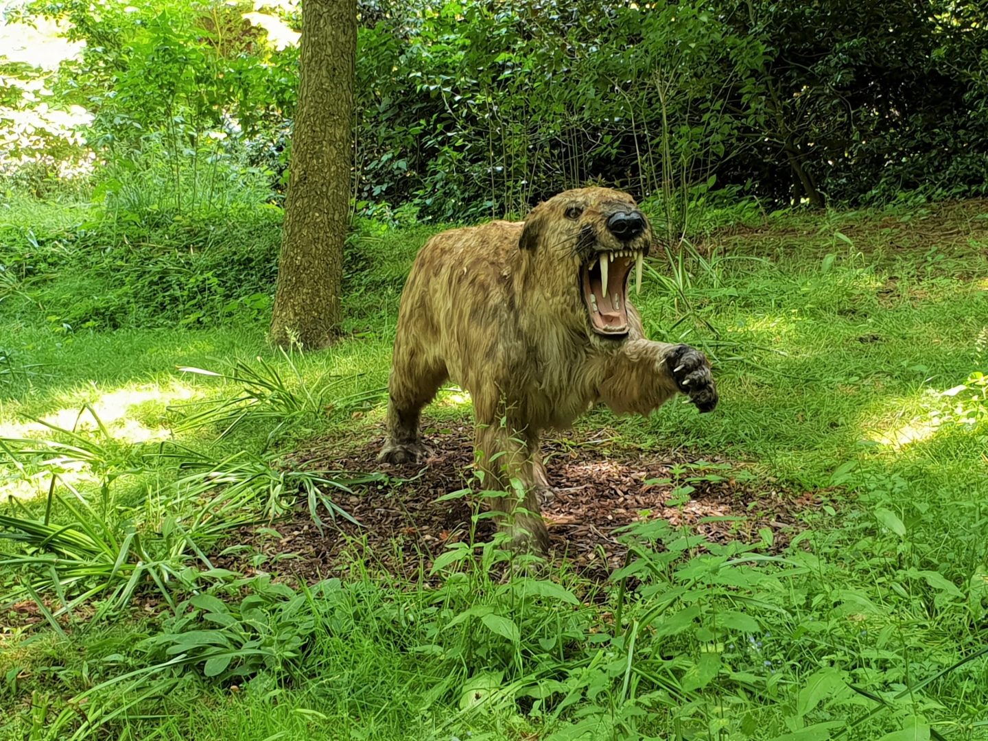 Sabre toothed tiger, Ice Age exhibition at Howletts Wild Animal Park