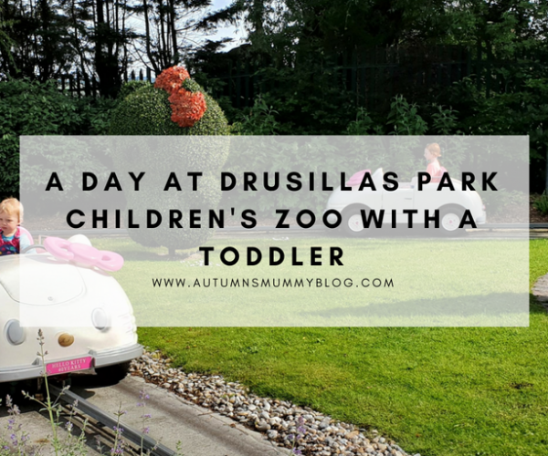 A day at Drusillas Park children’s zoo with a toddler