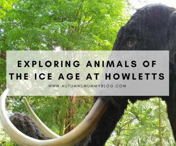 Exploring Animals of the Ice Age at Howletts