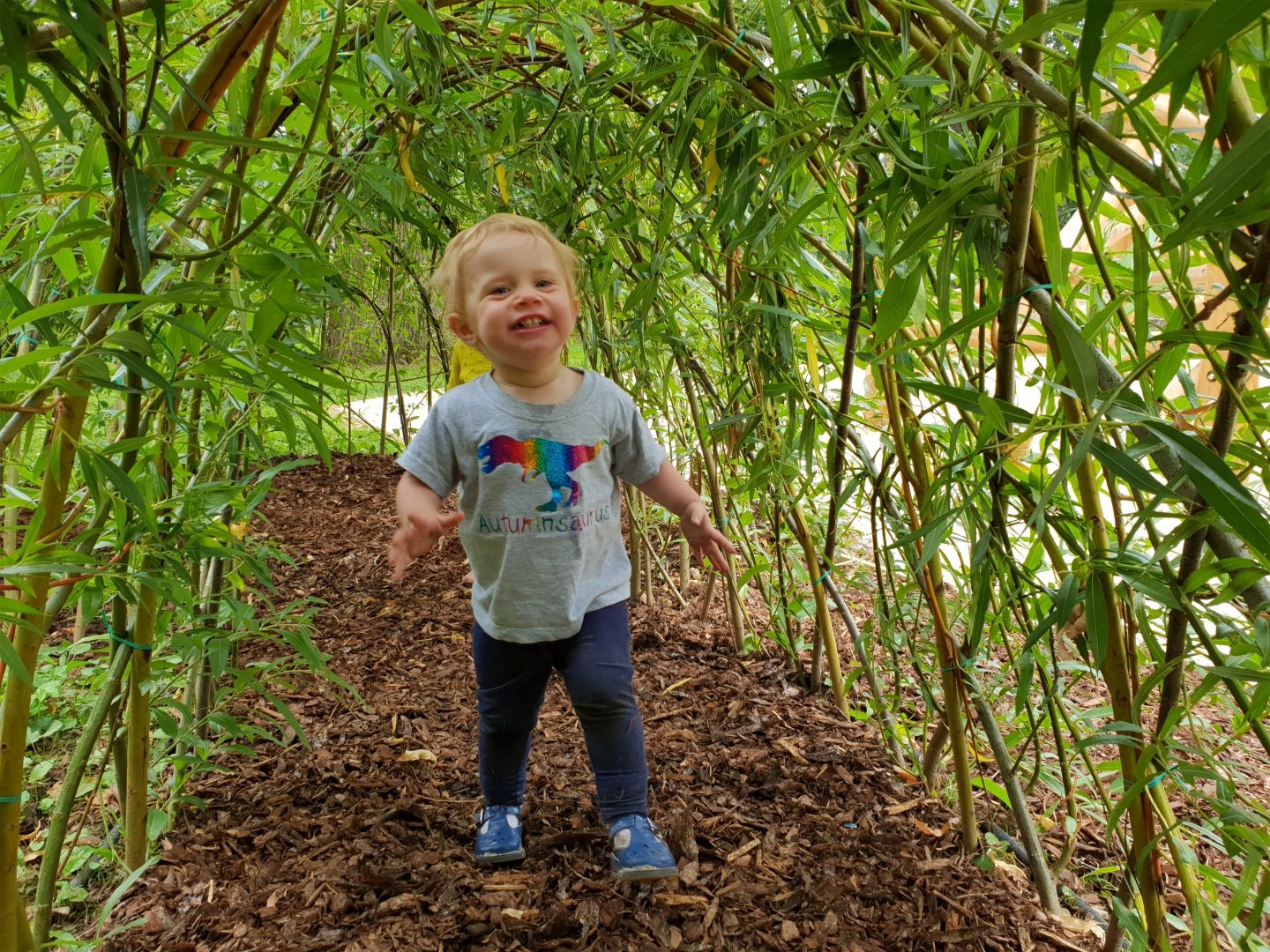 Willow tunnel, Acorn Dell playground at Hever Castle