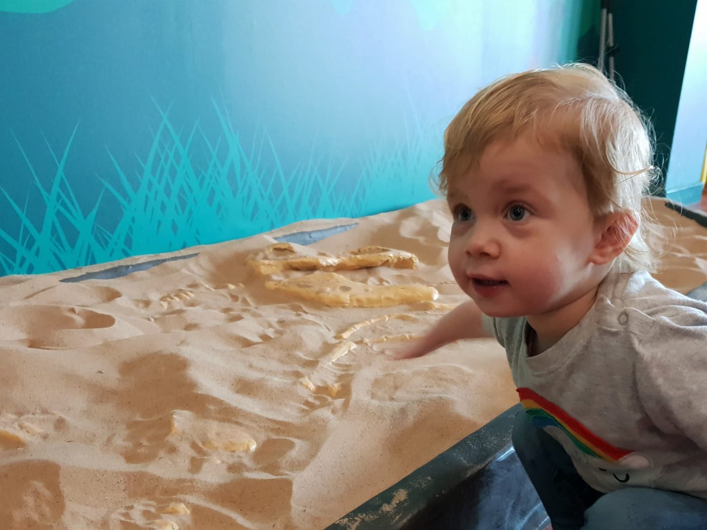 Dinosaur fossil sand pit at Dinotropolis, Bluewater