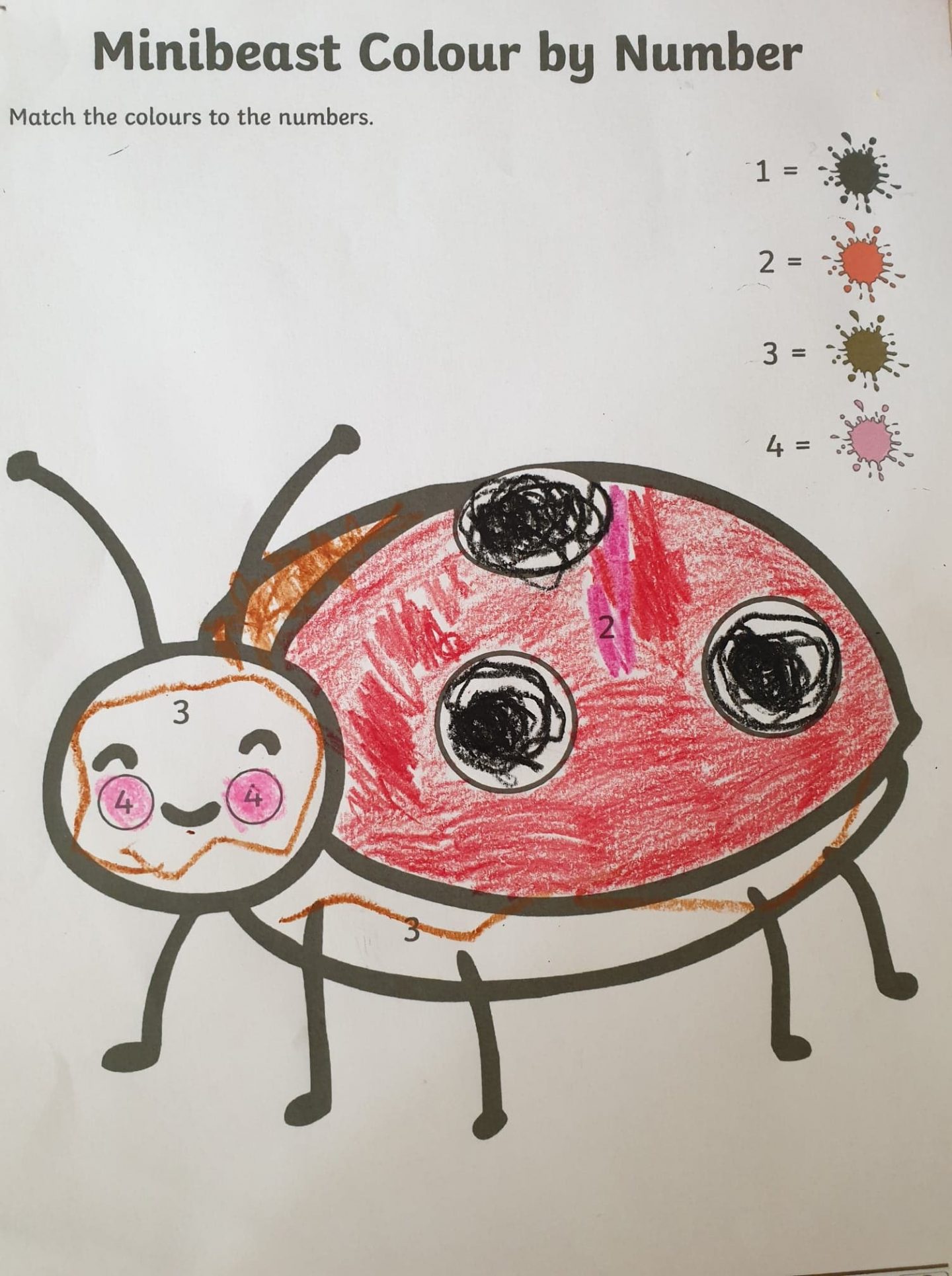 Mini beast ladybird colouring