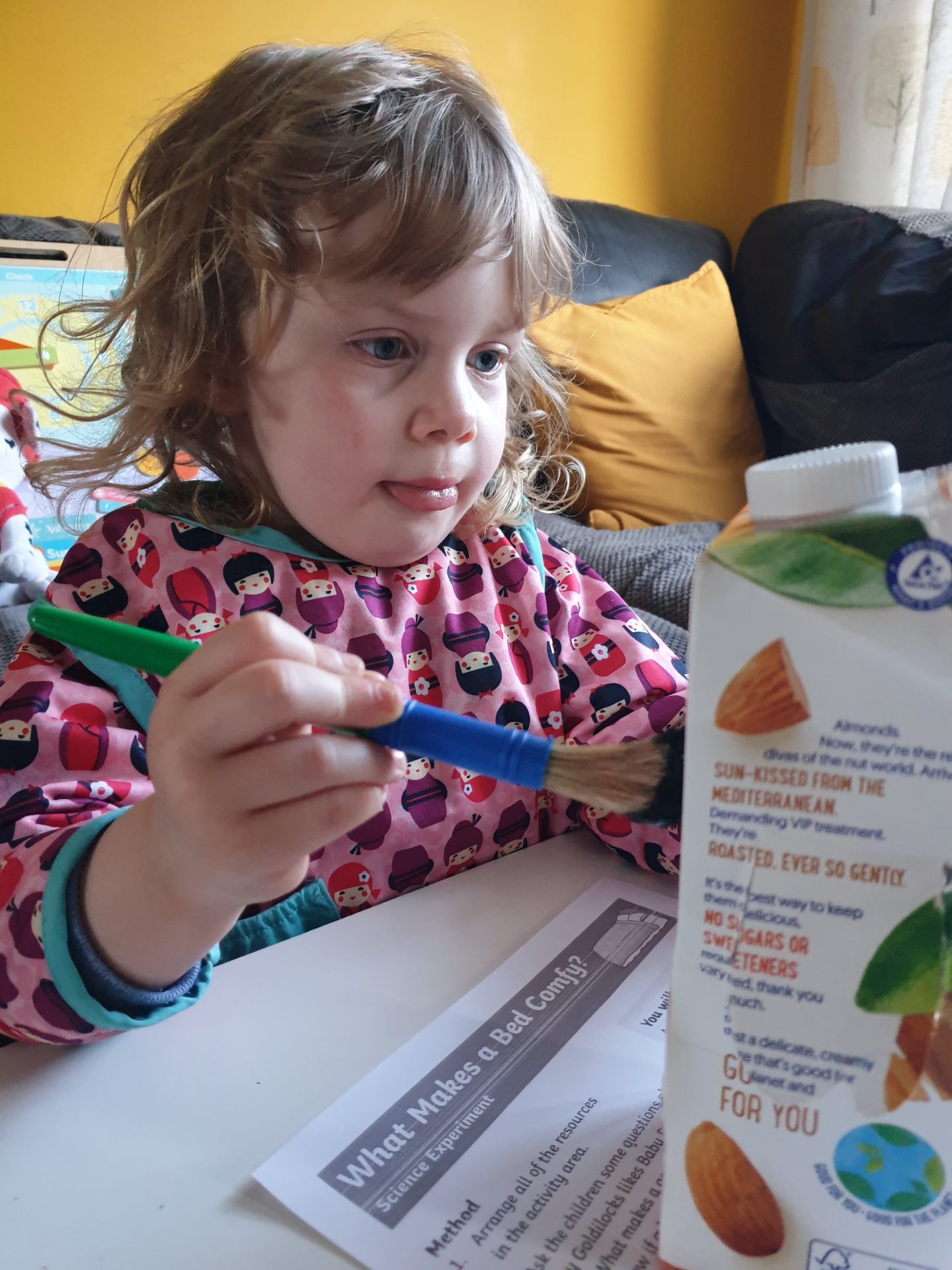 Painting puffin bird box