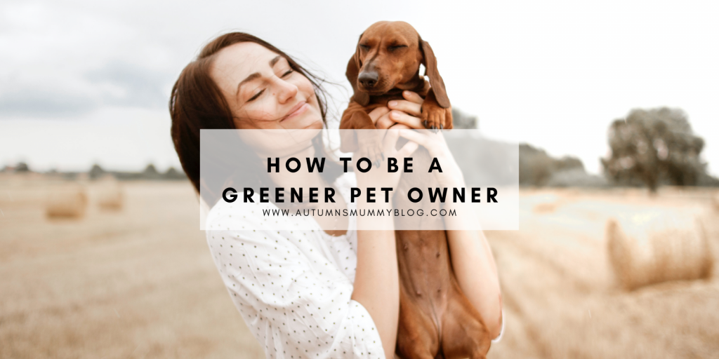 How to be a greener pet owner