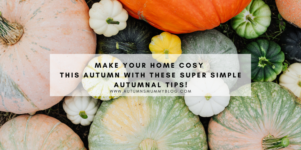 How to make your home cosy this autumn