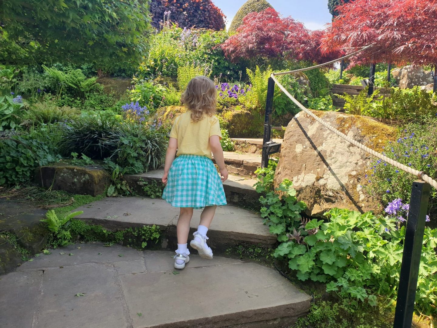 Blue Corner at Hever Castle