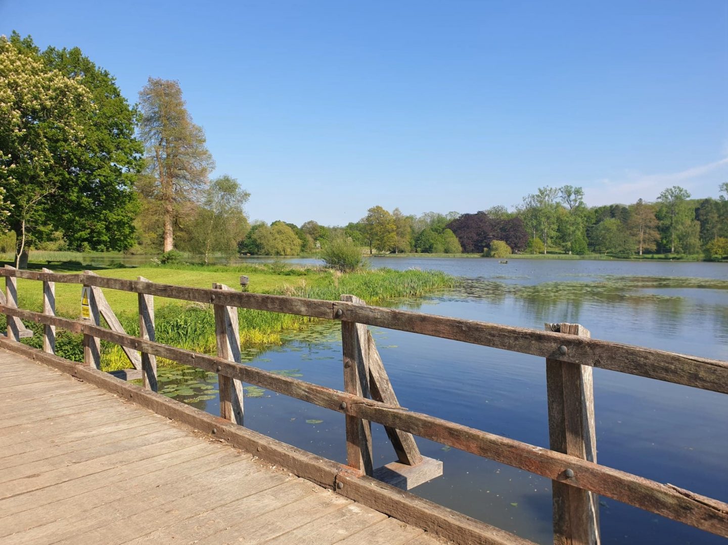 Lake at Hever Castle