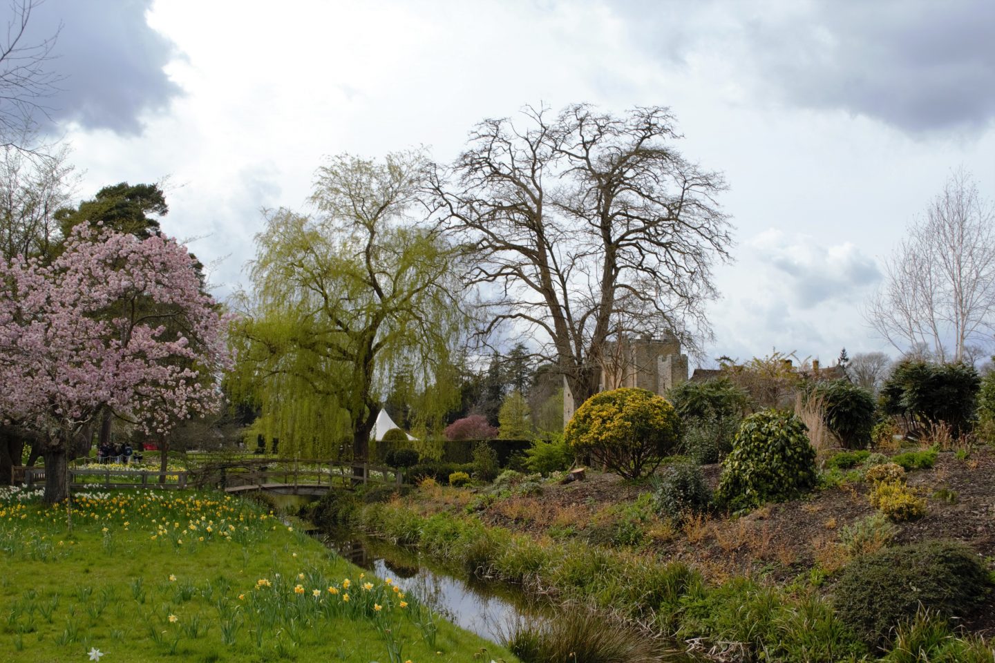 Blossom, willow tree, bridge, Hever Castle