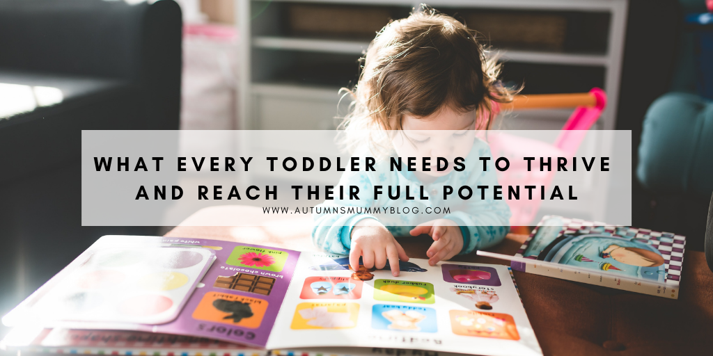 What Every Toddler Needs to Thrive and Reach Their Full Potential