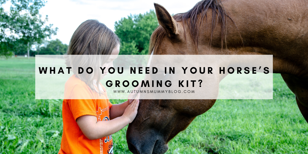 What Do You Need in Your Horse’s Grooming Kit?
