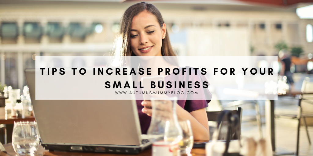 Tips to Increase Profits for Your Small Business