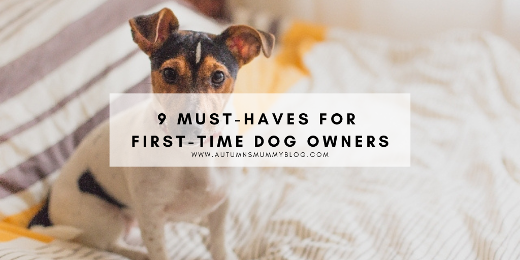 9 Must-Haves For First-Time Dog Owners