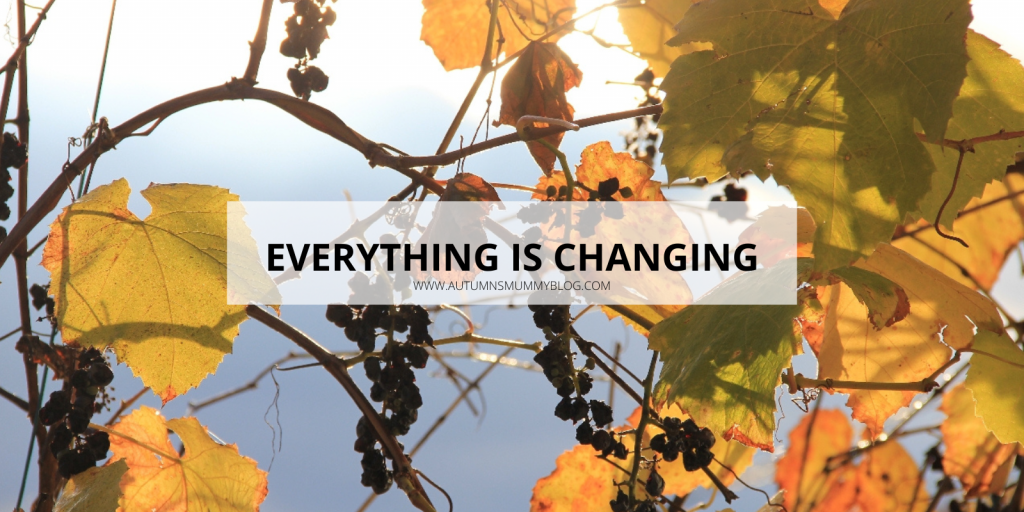 Everything is changing