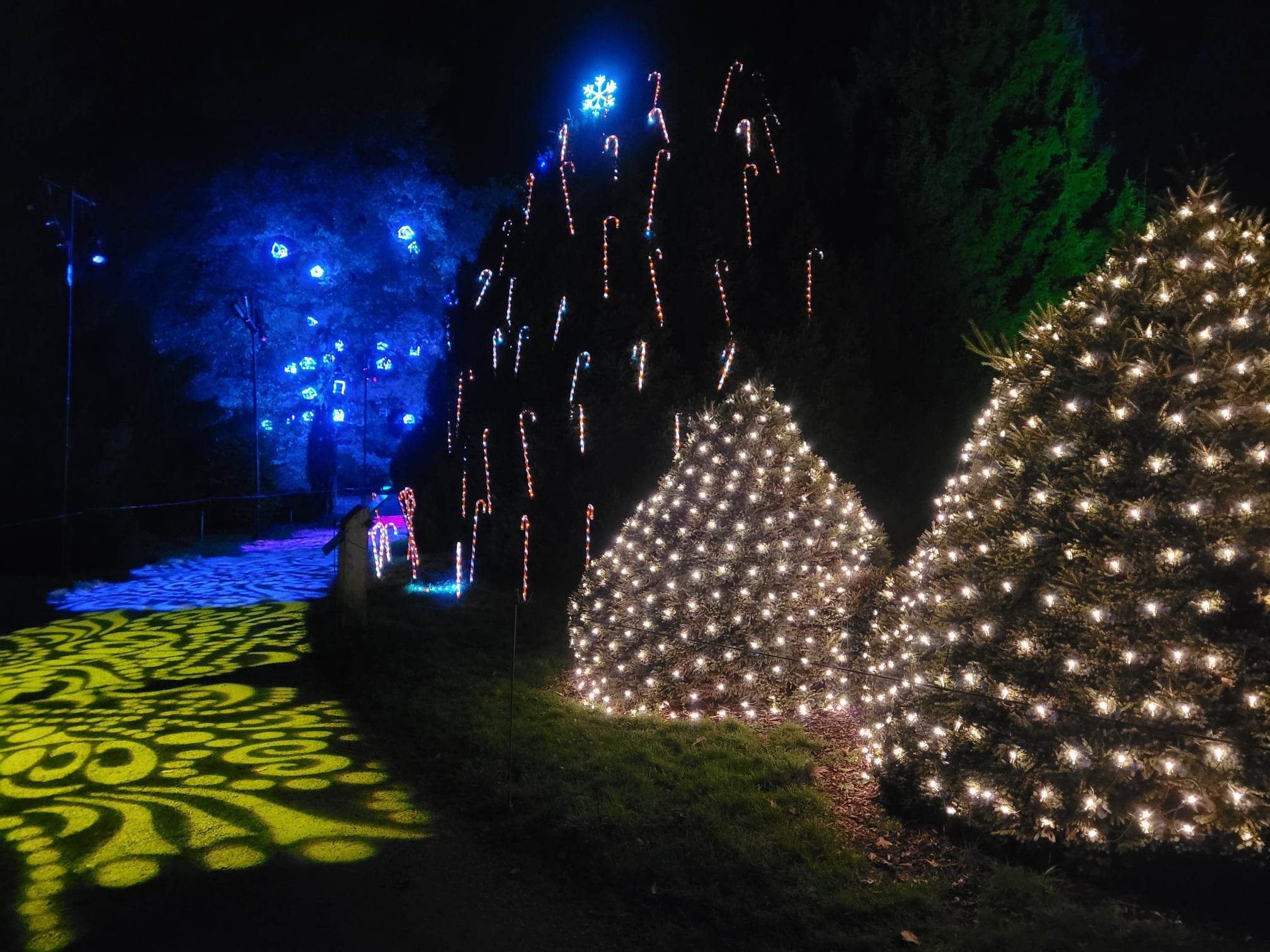 Review Christmas at Bedgebury 2022 Autumn's Mummy