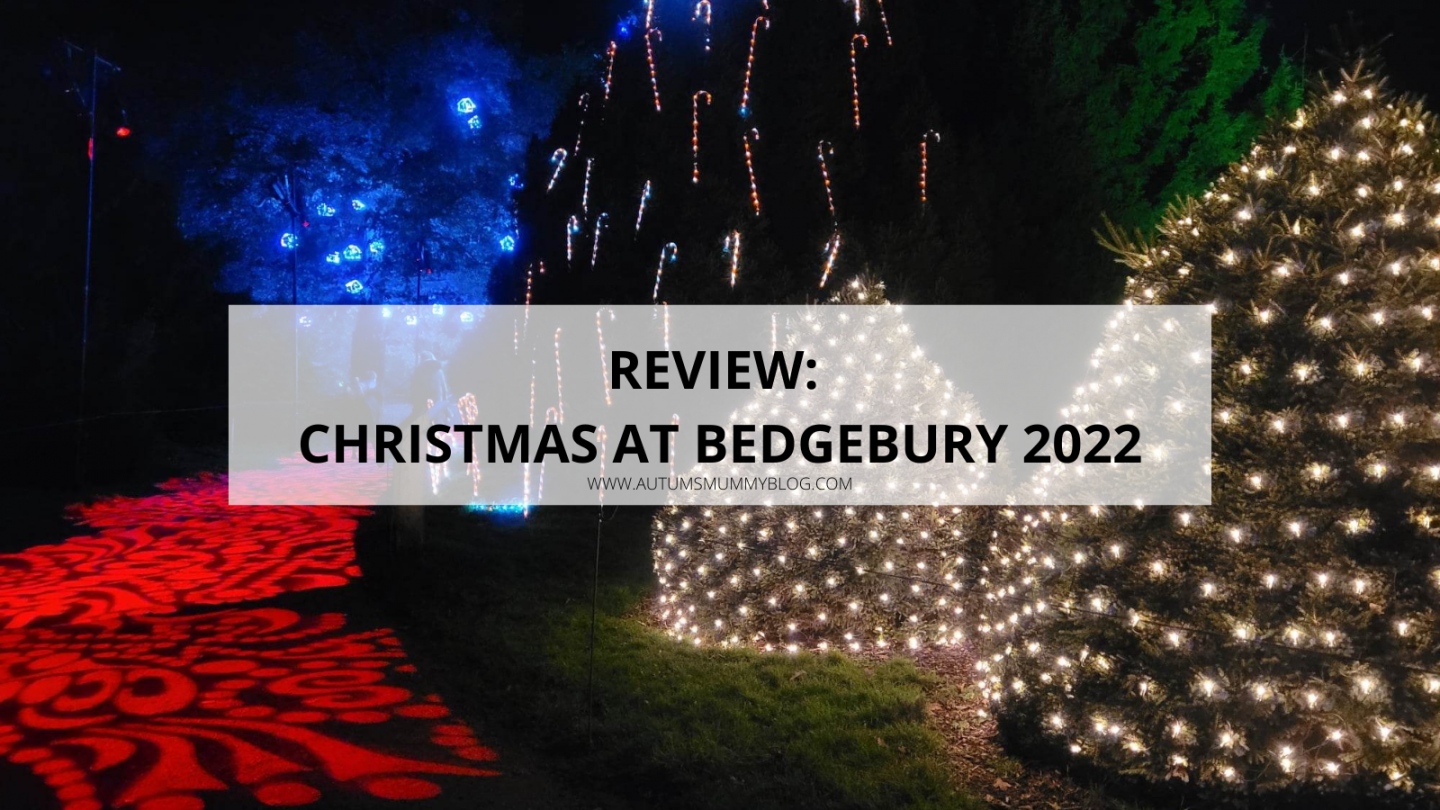 Review Christmas at Bedgebury 2022 Autumn's Mummy