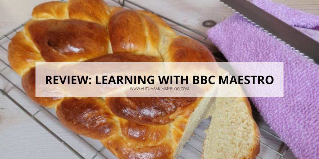 Review: Learning with BBC Maestro