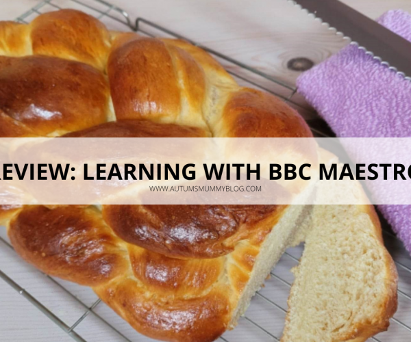 Review: Learning with BBC Maestro