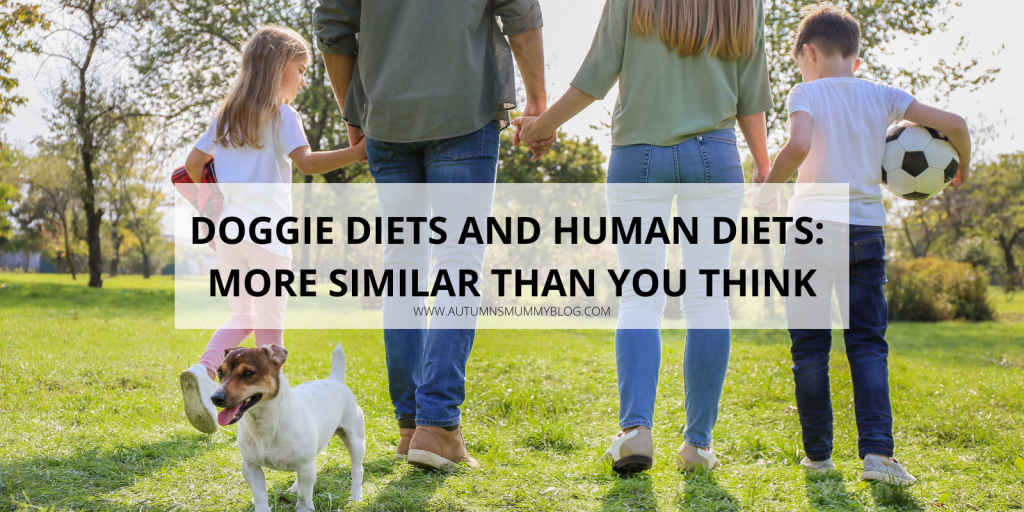 Doggie Diets and Human Diets: More Similar Than You Think