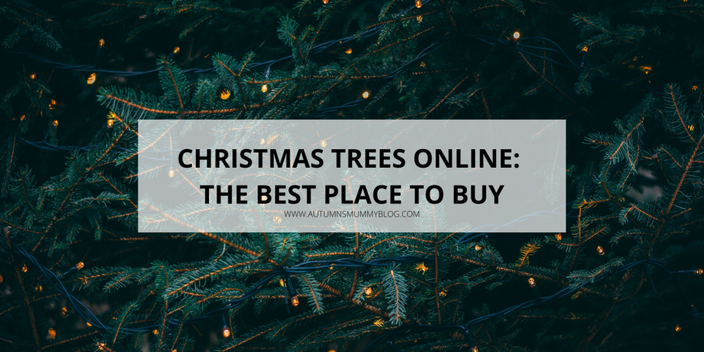 Christmas Trees Online: The Best Place to Buy