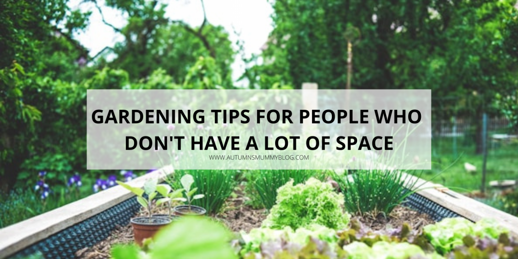 Gardening Tips For People Who Don’t Have A Lot Of Space