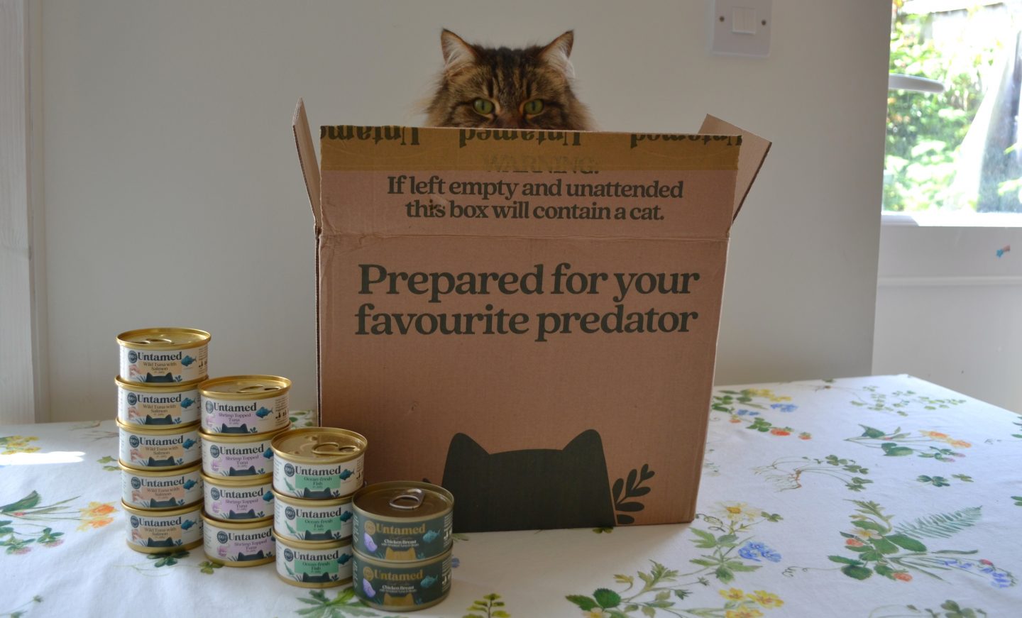 Cat in cardboard box with tins of fish flavours of Untamed cat food